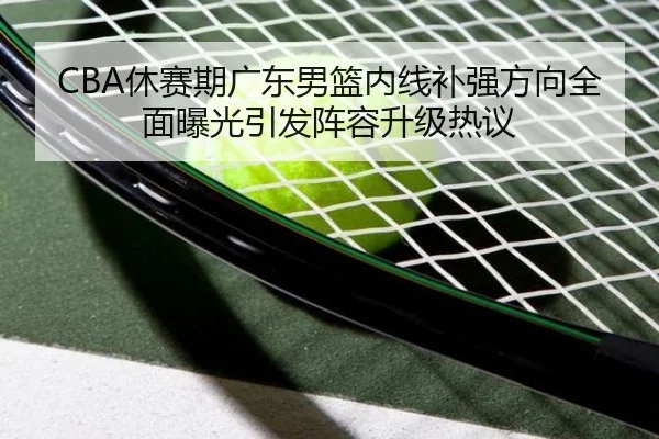 CBA休赛期广东男篮内线补强方向全面曝光引发阵容升级热议